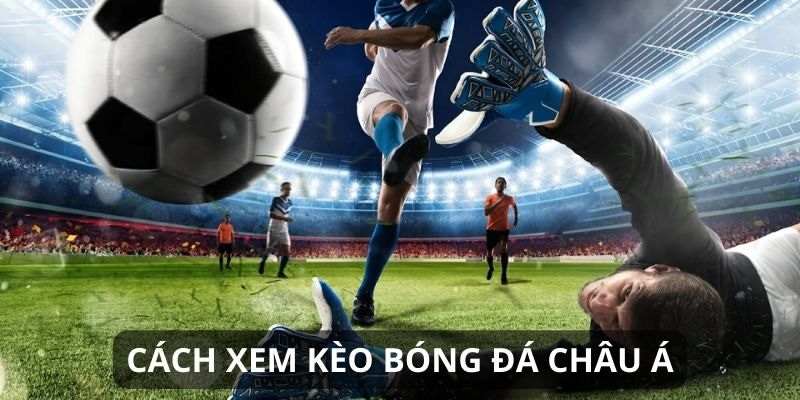 Học hỏi kỹ năng bên cạnh biết cách xem kèo Châu Âu để kiếm thưởng lớn