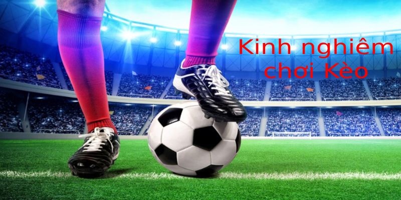 Tham gia bất kỳ đâu có internet
