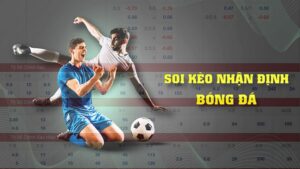 Thông tin nhận định về bóng đá nhanh chóng