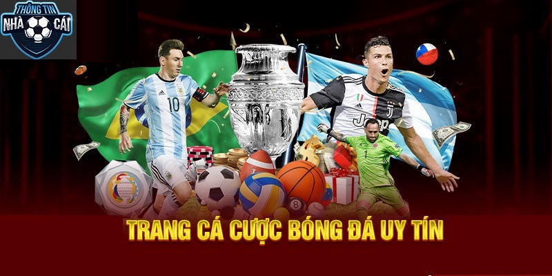 Mẹo nhận biết Top Trang Cá Cược Bóng Đá Uy Tín Nhất