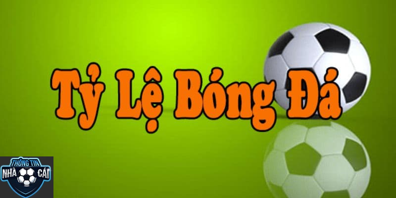 Tỷ lệ kèo - Yếu tố quan trọng trong cá cược