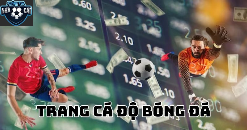 Vì sao nên lựa chọn Trang Cá Cược Bóng Đá Hàng Đầu thay vì nhà cái thông thường?