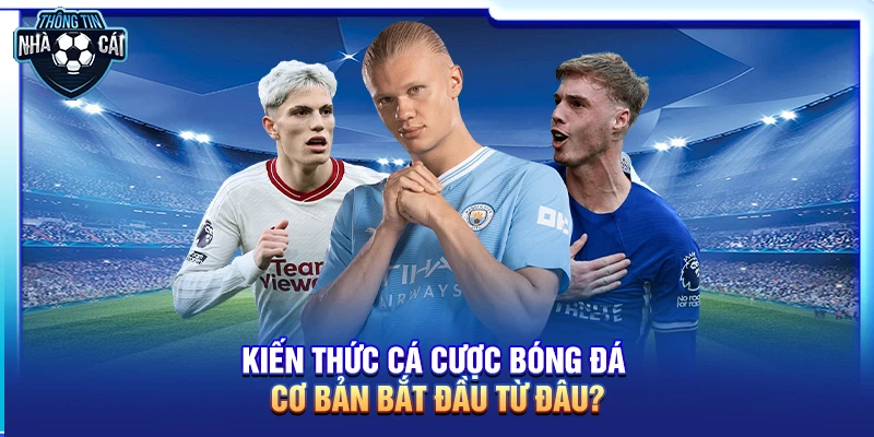 Kiến thức cá cược bóng đá cơ bản bắt đầu từ đâu?
