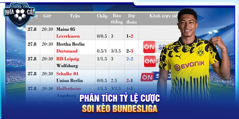 Phân tích tỷ lệ cược Soi kèo Bundesliga